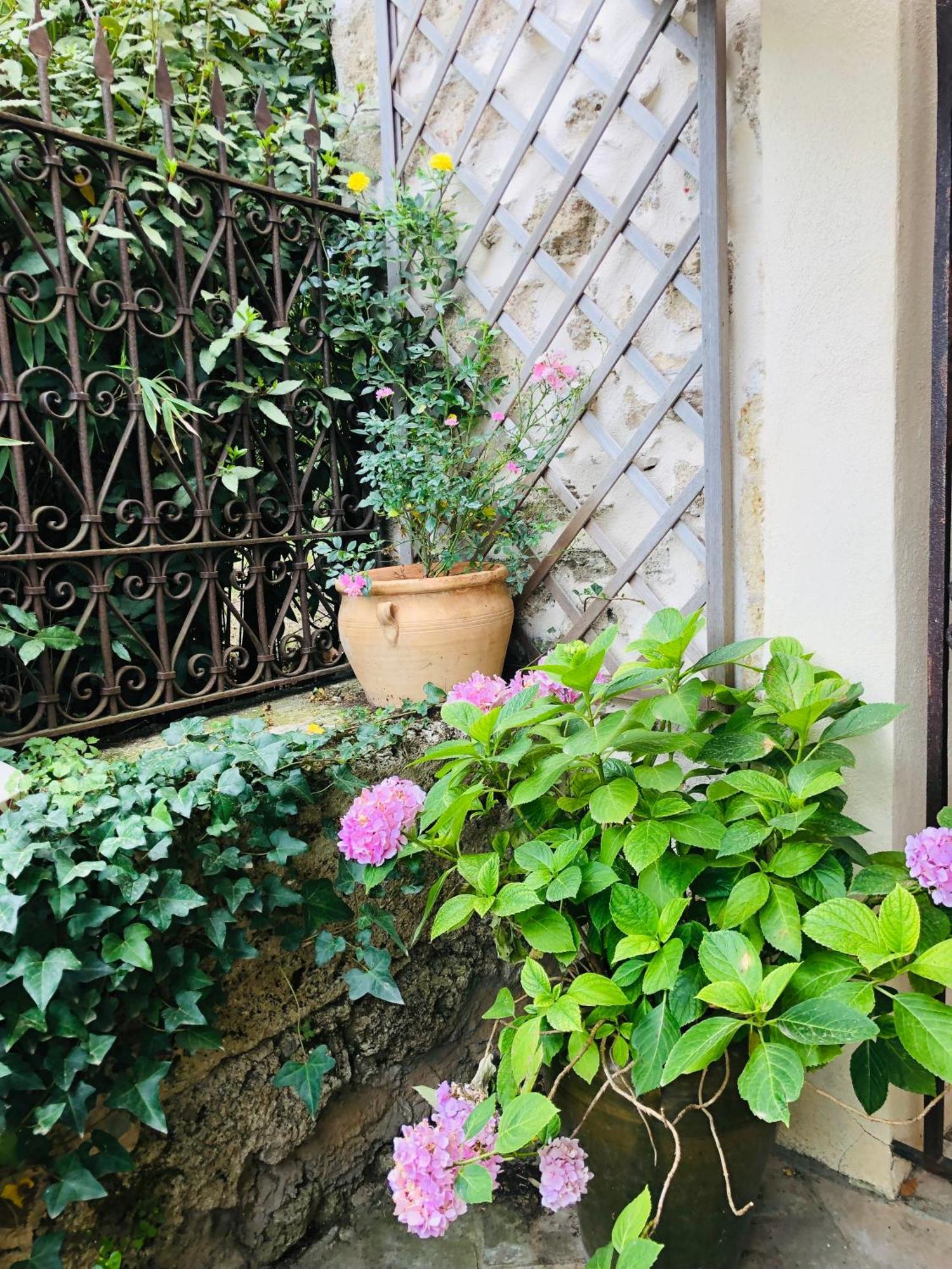 Au Bout Du Pre Hotell Pézenas Exteriör bild